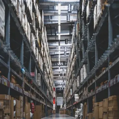 Profile image of 샘슨