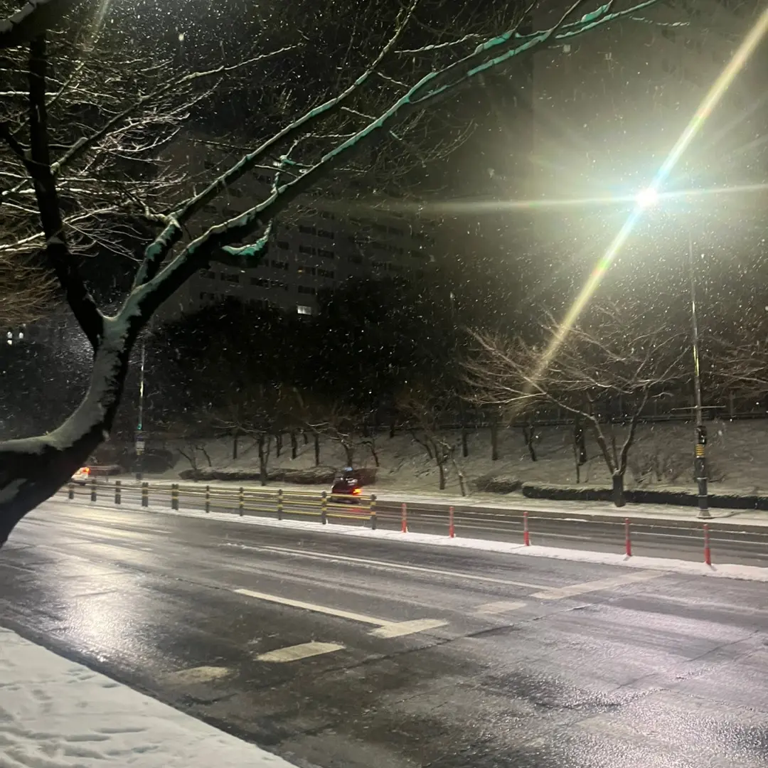 one_boor_o의 보넥고 F6