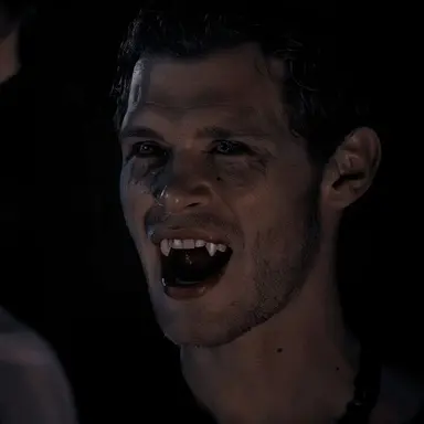 Profile image of Niklaus