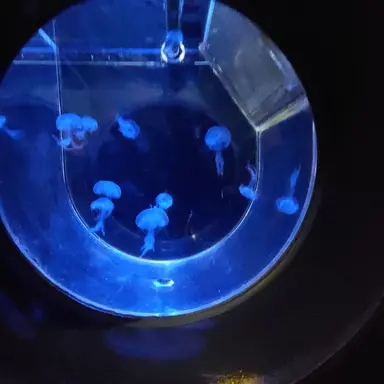 Profile image of 山中柔太朗