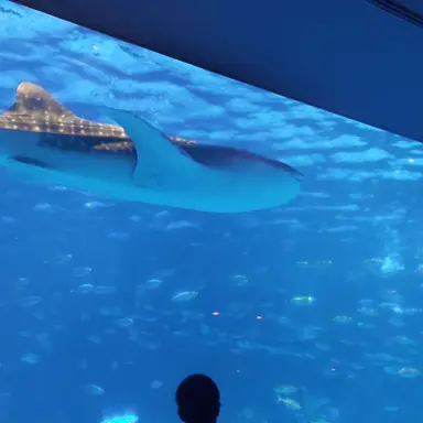 Profile image of 吉田仁人