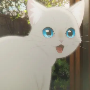 Profile image of 笹木美代
