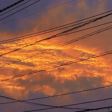 Profile image of 坂垣 怜次