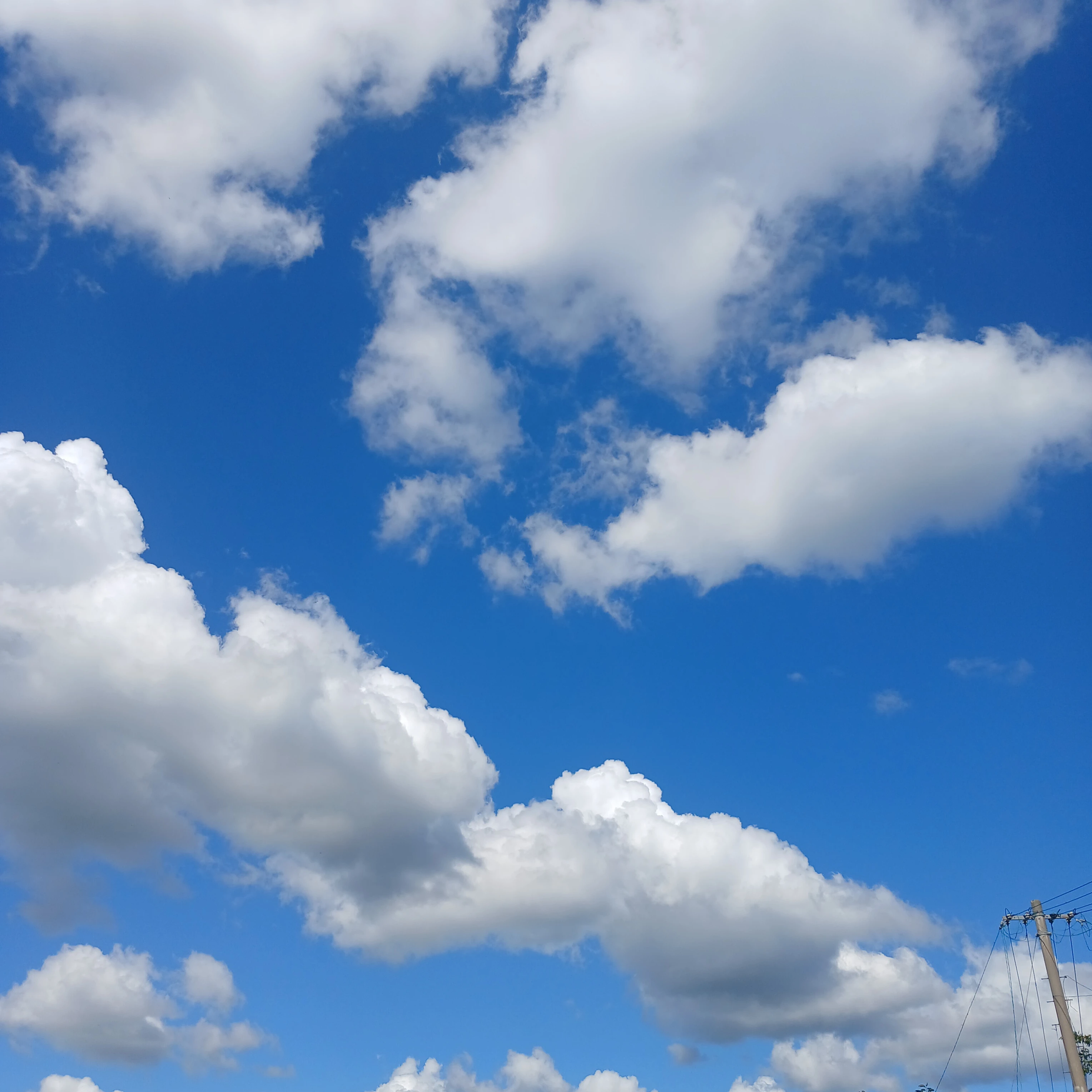 소방망이 낚시군