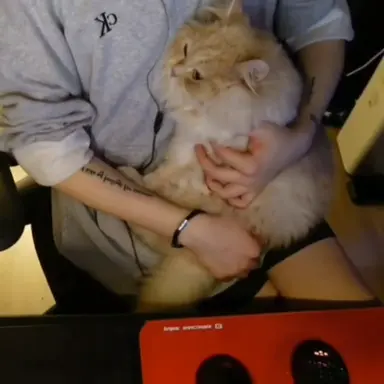 Profile image of 감J