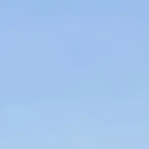 Profile image of 연기자