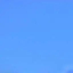 Profile image of TOP