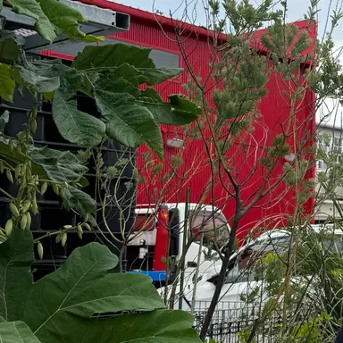 Profile image of 김동현