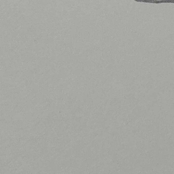 라떼맛 쿠키