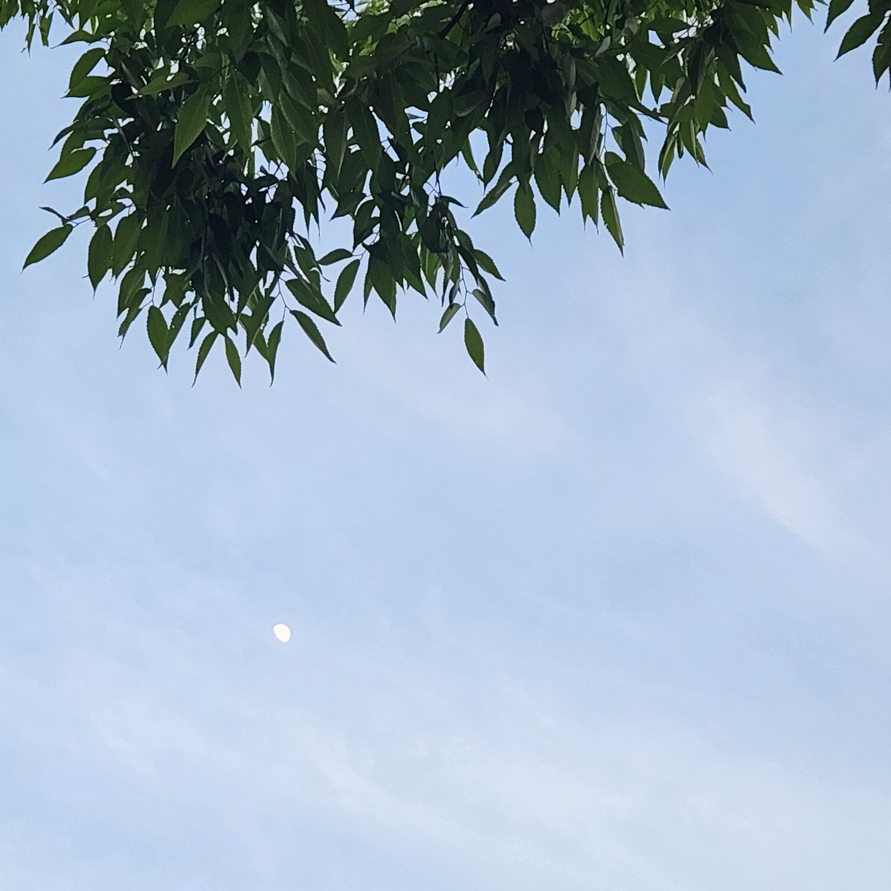 2p 패러다이스의 밴드부 생활!+여우 대표 이미지