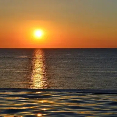 Profile image of 마음대로 하세요