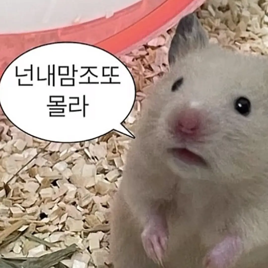 GrimJade6104의 햄찌