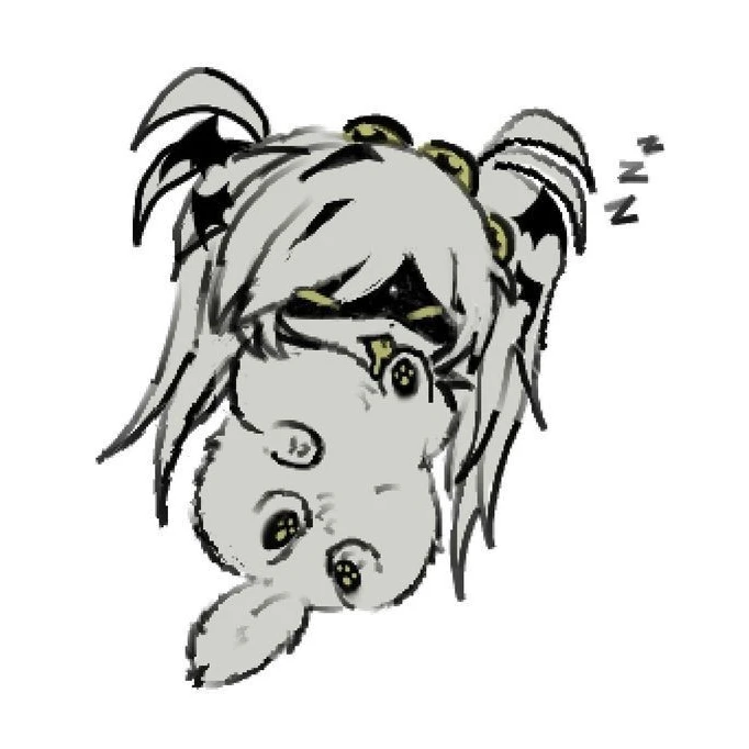 고양이 J