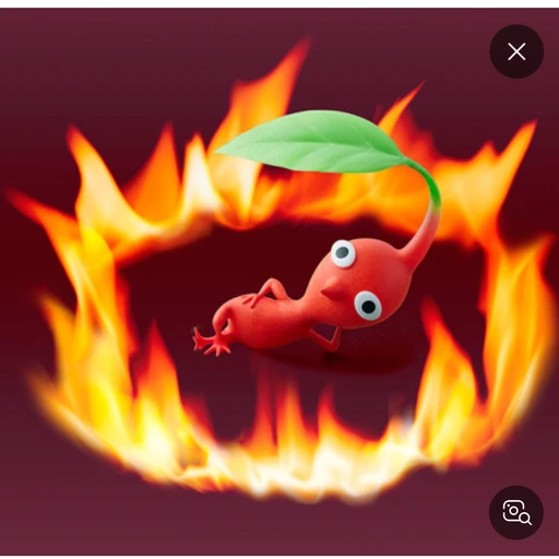 피꾸민