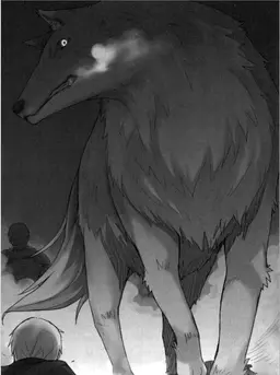 Profile image of Holo