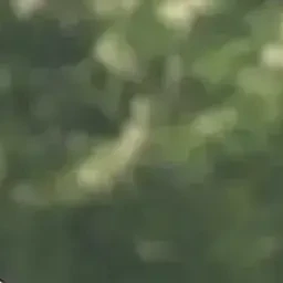 이지훈
