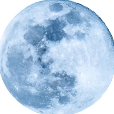 Profile image of 長野凌大