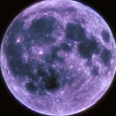 Profile image of 吉澤要人