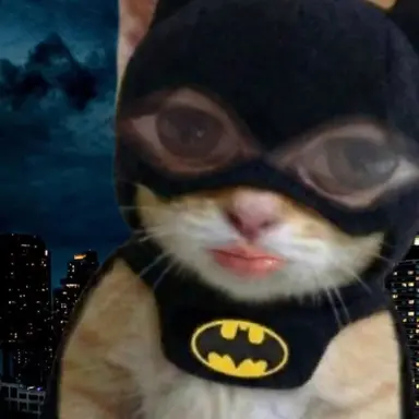 Profile image of Liam