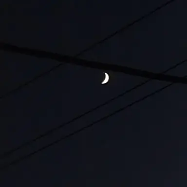 Profile image of 尾浜