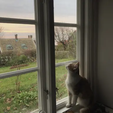 Profile image of ユウマ