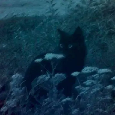 Profile image of ユウマ