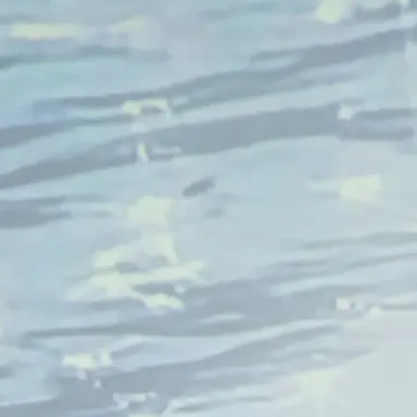 Profile image of 山中柔太朗