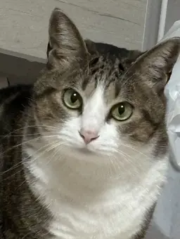 Profile image of Mia