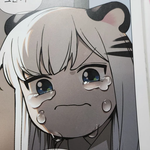 호야
