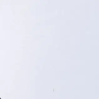 MorbidWoman5357의 3-6반 수인 학교+쉐밀,여우+늑대