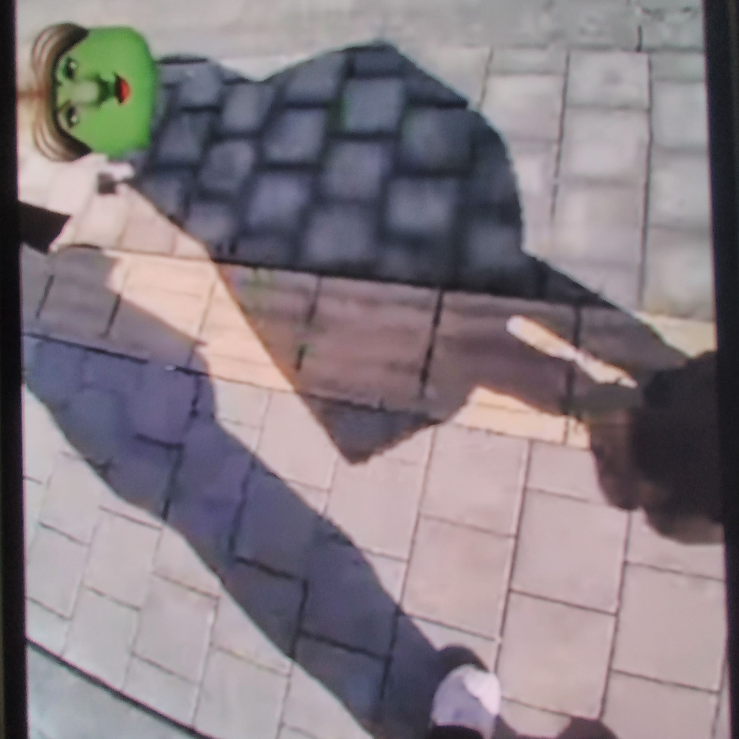 왼팔 패밀리 브이로그 대표 이미지