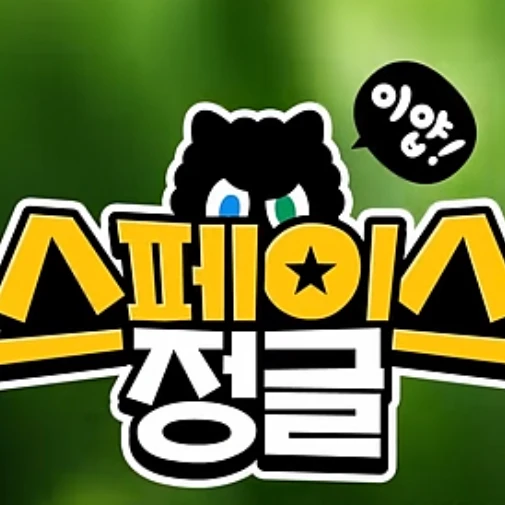 스페이스 정글 4팀들