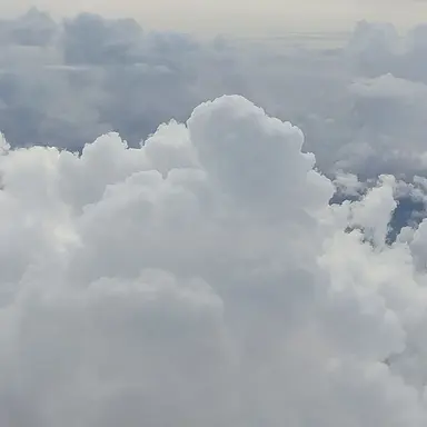 Profile image of 잠뜰