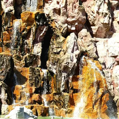 Profile image of 덕개