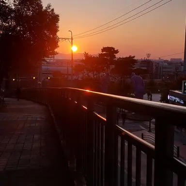 Profile image of 라더