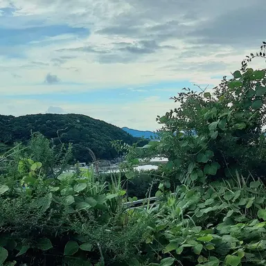 Profile image of 공룡