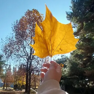 Profile image of 각별