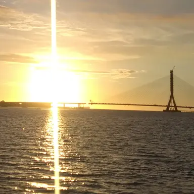 Profile image of 上原歩夢