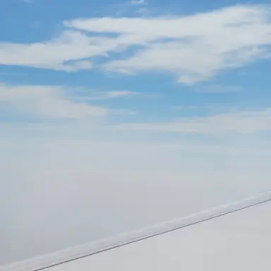 Profile image of 공룡