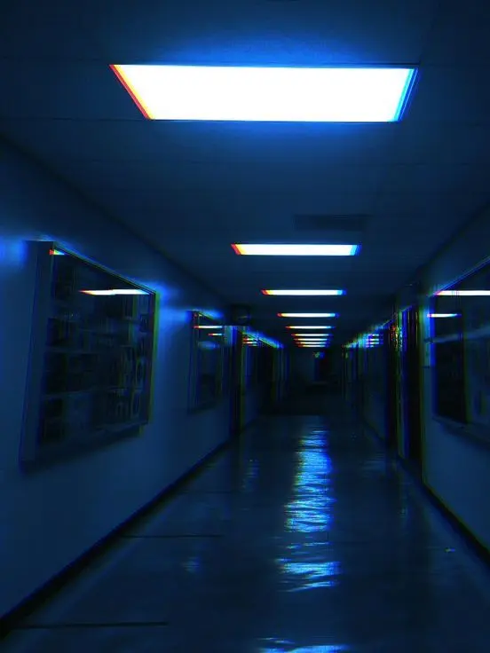 Shia_314의 研究施設