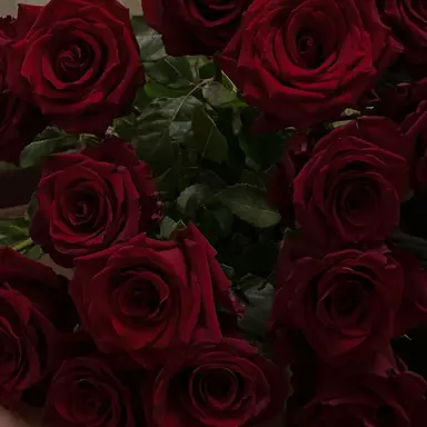 Profile image of 샤를 헨리