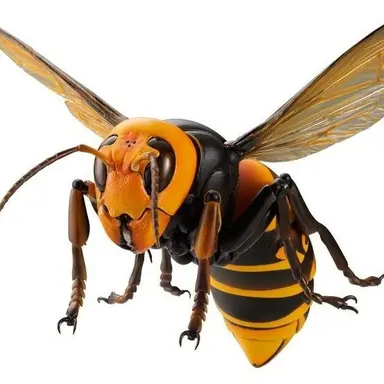 Profile image of 장수현