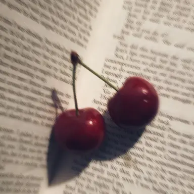 Profile image of 라더