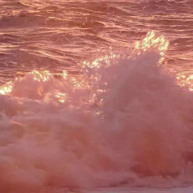 Profile image of 육식토끼