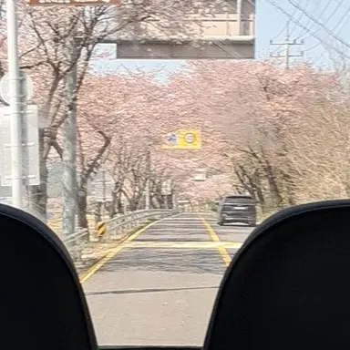 Profile image of 아무탈