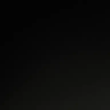 Profile image of 소멸