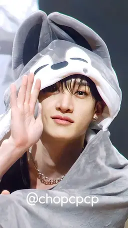 Profile image of Bang Chan