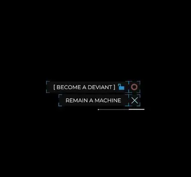 Profile image of Connor
