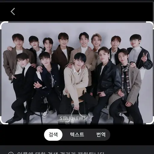 SimpleStraw3462의 세븐틴 조직