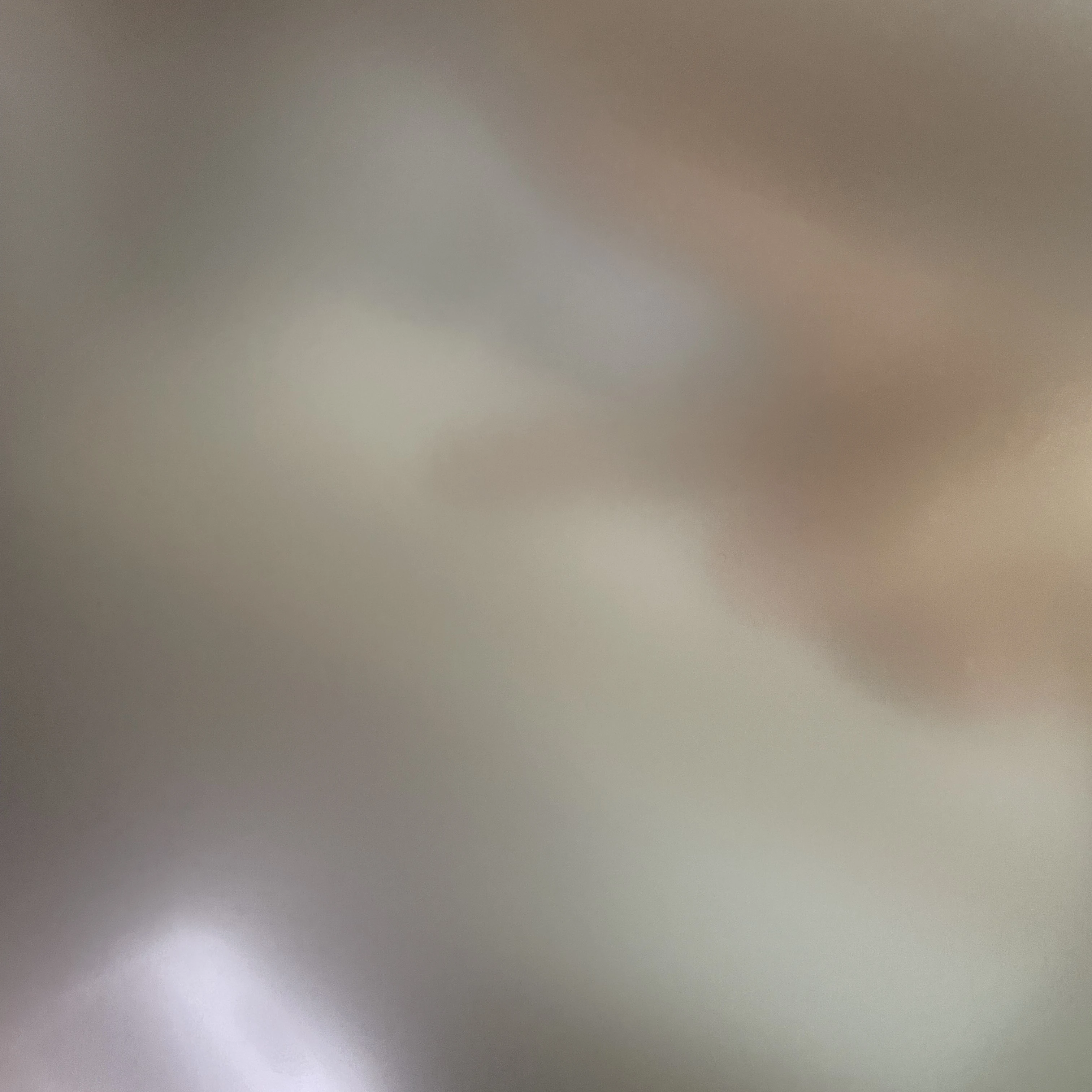 사자보이즈